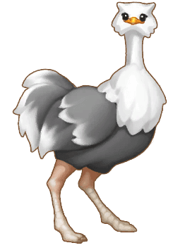 Ostrich