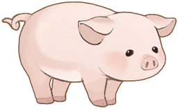 Pig