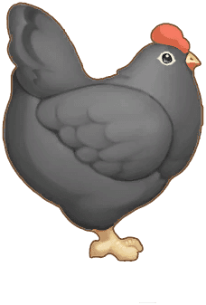 Ink Chicken