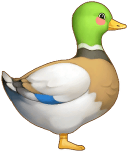 Jade Duck