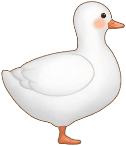 White Duck