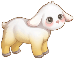 Yellow Sheep