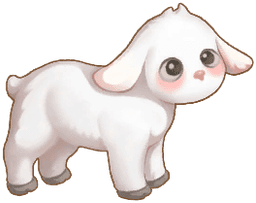 Duswool