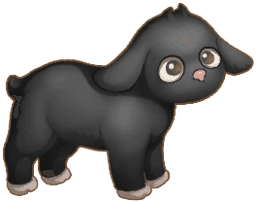 Ebowool