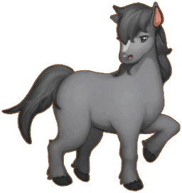 Black Horse