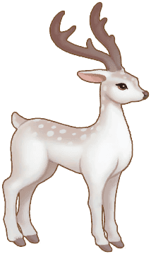 White Deer