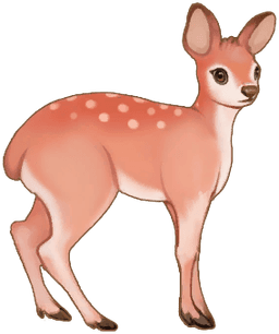 Red Musk Deer