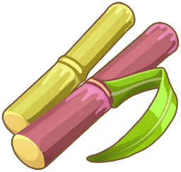 Sugarcane