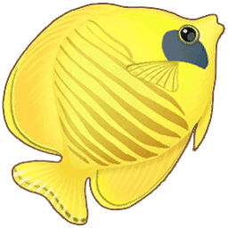 Butterflyfish