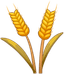 Wheat