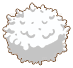 Wool