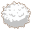 Wool
