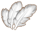 Feather