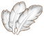 Feather