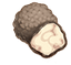 Truffle